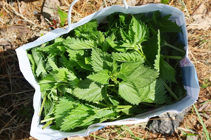 Bag of Nettles